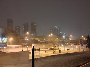 IMG_1773