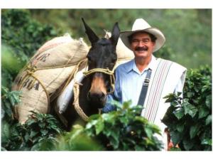 juan%20valdez_0-540x405